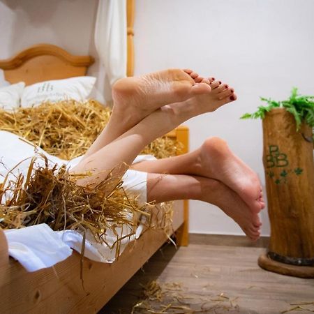 Landhotel Moorhof Franking エクステリア 写真